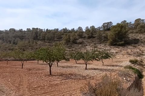 Helårsgrund i Abanilla, Murcia, Abanilla - € 24.310 | Ref: 66008 - foto 4