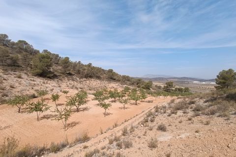 Helårsgrund i Abanilla, Murcia, Abanilla - € 24.310 | Ref: 66008 - foto 5