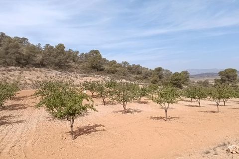 Helårsgrund i Abanilla, Murcia, Abanilla - € 24.310 | Ref: 66008 - foto 6