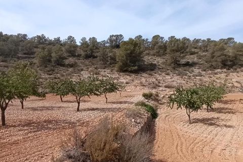 Helårsgrund i Abanilla, Murcia, Abanilla - € 24.310 | Ref: 66008 - foto 7