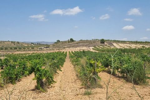 Helårsgrund i Pinoso, Alicante, Pinoso - € 14.500 | Ref: 63030c2410 - foto 2