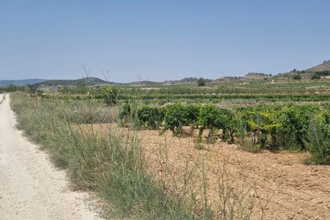 Helårsgrund i Pinoso, Alicante, Pinoso - € 14.500 | Ref: 63030c2410 - foto 3