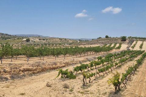 Helårsgrund i Pinoso, Alicante, Pinoso - € 14.500 | Ref: 63030c2410 - foto 4