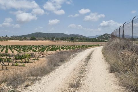 Helårsgrund i Pinoso, Alicante, Pinoso - € 14.500 | Ref: 63030c2410 - foto 5