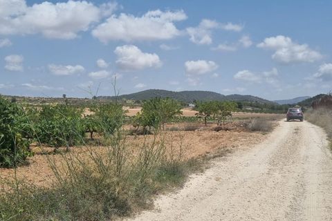 Helårsgrund i Pinoso, Alicante, Pinoso - € 14.500 | Ref: 63030c2410 - foto 6