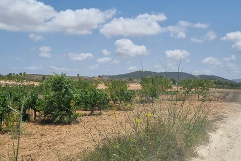 Helårsgrund i Pinoso, Alicante, Pinoso - € 14.500 | Ref: 63030c2410 - foto 8