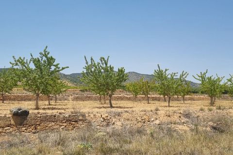 Helårsgrund i Yecla, Murcia, Yecla - € 19.995 | Ref: 63028c2410 - foto 1