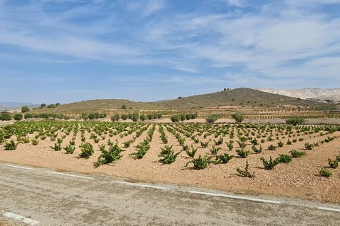 Terra a Abanilla, Murcia, Abanilla - € 68.961 | Ref: 66007 - foto 2