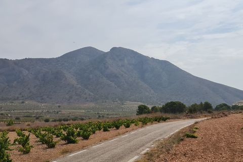 Terra a Abanilla, Murcia, Abanilla - € 68.961 | Ref: 66007 - foto 4