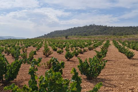 Terra a Abanilla, Murcia, Abanilla - € 68.961 | Ref: 66007 - foto 8
