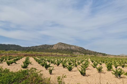 Terra a Abanilla, Murcia, Abanilla - € 68.961 | Ref: 66007 - foto 9