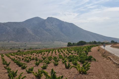 Terra a Abanilla, Murcia, Abanilla - € 29.502 | Ref: 66006 - foto 5