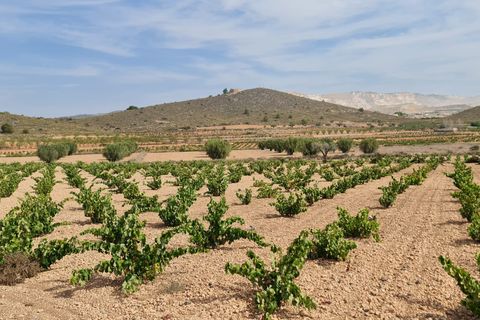 Terra a Abanilla, Murcia, Abanilla - € 29.502 | Ref: 66006 - foto 6