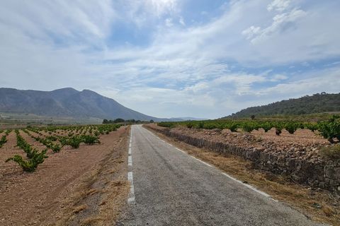 Terra a Abanilla, Murcia, Abanilla - € 29.502 | Ref: 66006 - foto 7