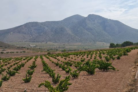 Terra a Abanilla, Murcia, Abanilla - € 29.502 | Ref: 66006 - foto 8