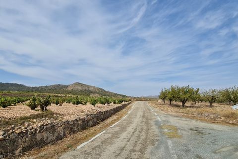 Terra a Abanilla, Murcia, Abanilla - € 29.502 | Ref: 66006 - foto 9