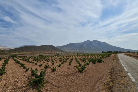 Terra a Abanilla, Murcia, Abanilla - € 29.502 | Ref: 66006 - foto 10