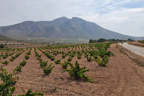 Terra a Abanilla, Murcia, Abanilla - € 29.502 | Ref: 66006 - foto 11