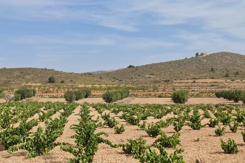 Terra a Abanilla, Murcia, Abanilla - € 29.502 | Ref: 66006 - foto 12