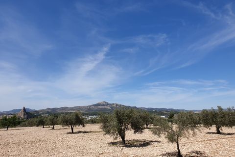 Helårsgrund i Sax, Alicante, Sax - € 65.995 | Ref: 11575c2112 - foto 3