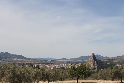 Helårsgrund i Sax, Alicante, Sax - € 65.995 | Ref: 11575c2112 - foto 5