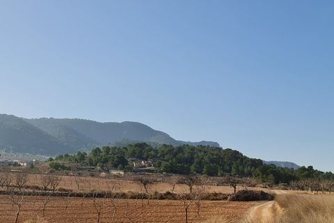 Terra a Jumilla, Murcia, Jumilla - € 27.995 | Ref: 51220 - foto 2