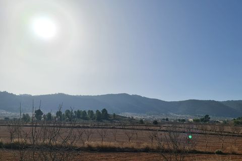 Terra a Jumilla, Murcia, Jumilla - € 27.995 | Ref: 51220 - foto 3