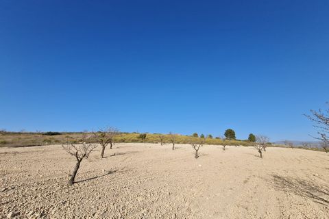 Terra a Jumilla, Murcia, Jumilla - € 27.995 | Ref: 51220 - foto 5