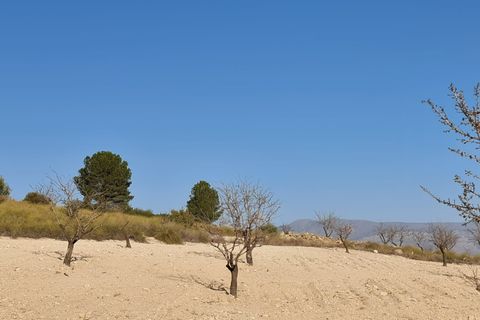 Terra a Jumilla, Murcia, Jumilla - € 27.995 | Ref: 51220 - foto 7