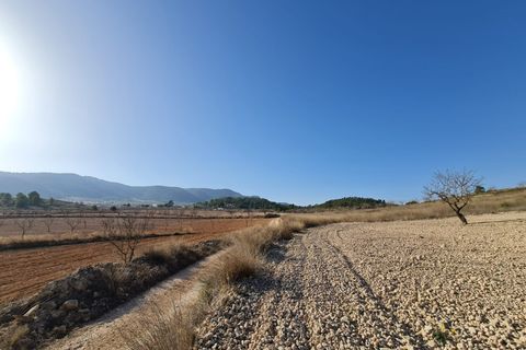 Terra a Jumilla, Murcia, Jumilla - € 27.995 | Ref: 51220 - foto 8