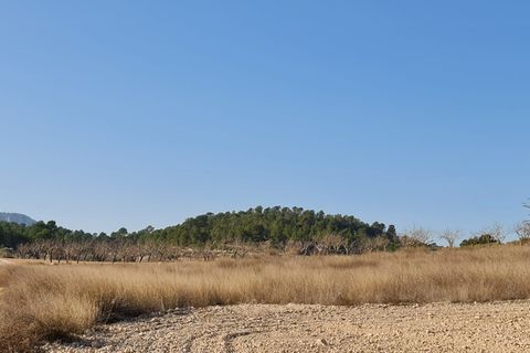 Terra a Jumilla, Murcia, Jumilla - € 27.995 | Ref: 51220 - foto 9