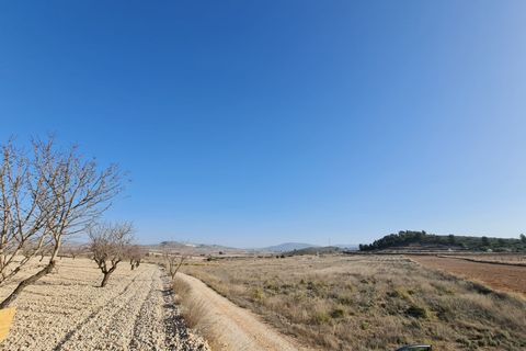 Terra a Jumilla, Murcia, Jumilla - € 27.995 | Ref: 51220 - foto 10