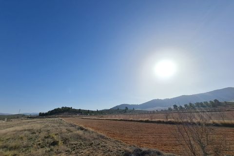 Terra a Jumilla, Murcia, Jumilla - € 27.995 | Ref: 51220 - foto 11