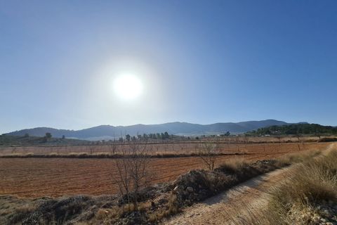 Terra a Jumilla, Murcia, Jumilla - € 27.995 | Ref: 51220 - foto 12