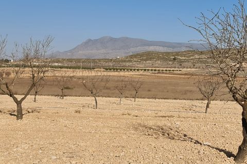 Terra a Jumilla, Murcia, Jumilla - € 17.995 | Ref: 51221 - foto 2