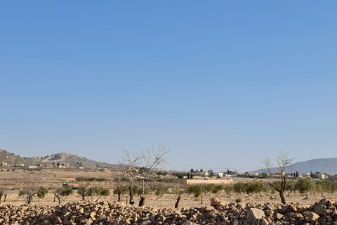 Terra a Jumilla, Murcia, Jumilla - € 17.995 | Ref: 51221 - foto 4