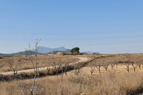 Terra a Jumilla, Murcia, Jumilla - € 17.995 | Ref: 51221 - foto 7