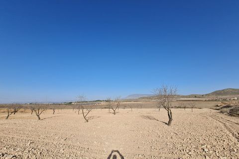 Terra a Jumilla, Murcia, Jumilla - € 17.995 | Ref: 51221 - foto 8