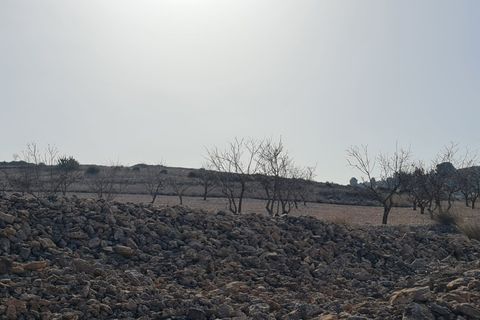 Terra a Jumilla, Murcia, Jumilla - € 17.995 | Ref: 51221 - foto 9
