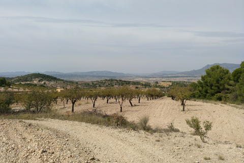 Helårsgrund i Abanilla, Murcia, Abanilla - € 22.950 | Ref: 11375c2203 - foto 1