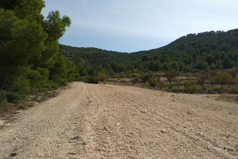 Helårsgrund i Abanilla, Murcia, Abanilla - € 22.950 | Ref: 11375c2203 - foto 2