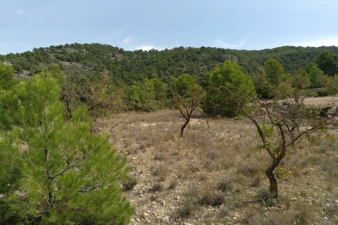 Helårsgrund i Abanilla, Murcia, Abanilla - € 22.950 | Ref: 11375c2203 - foto 3
