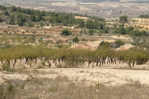 Helårsgrund i Abanilla, Murcia, Abanilla - € 22.950 | Ref: 11375c2203 - foto 6