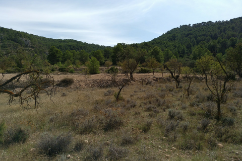 Helårsgrund i Abanilla, Murcia, Abanilla - € 22.950 | Ref: 11375c2203 - foto 8