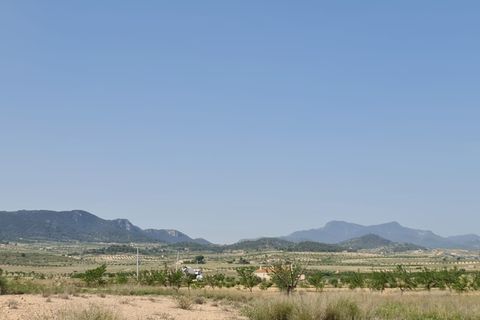 Tomt i Jumilla, Murcia, Jumilla - € 20 500 | Ref: 45028C2511 - foto 3