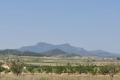 Tomt i Jumilla, Murcia, Jumilla - € 20 500 | Ref: 45028C2511 - foto 5