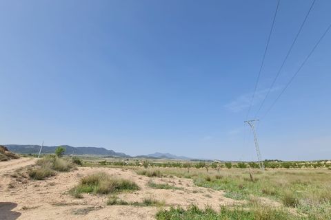 Tomt i Jumilla, Murcia, Jumilla - € 20 500 | Ref: 45028C2511 - foto 6