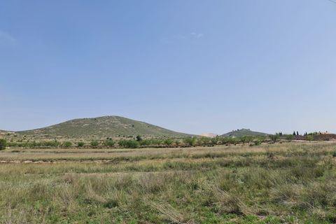 Tomt i Jumilla, Murcia, Jumilla - € 20 500 | Ref: 45028C2511 - foto 8