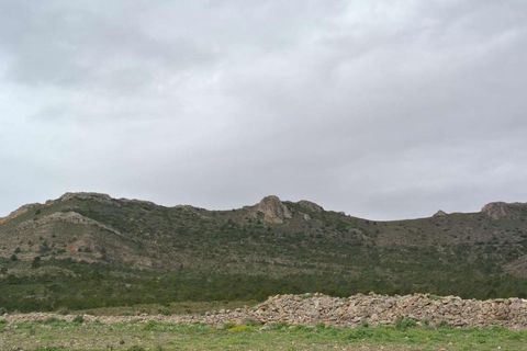 Tomt i Yecla, Murcia, Yecla - € 3 000 000 | Ref: 44015 - foto 9