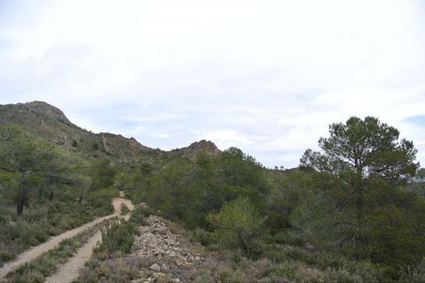 Tomt i Yecla, Murcia, Yecla - € 3 000 000 | Ref: 44015 - foto 10